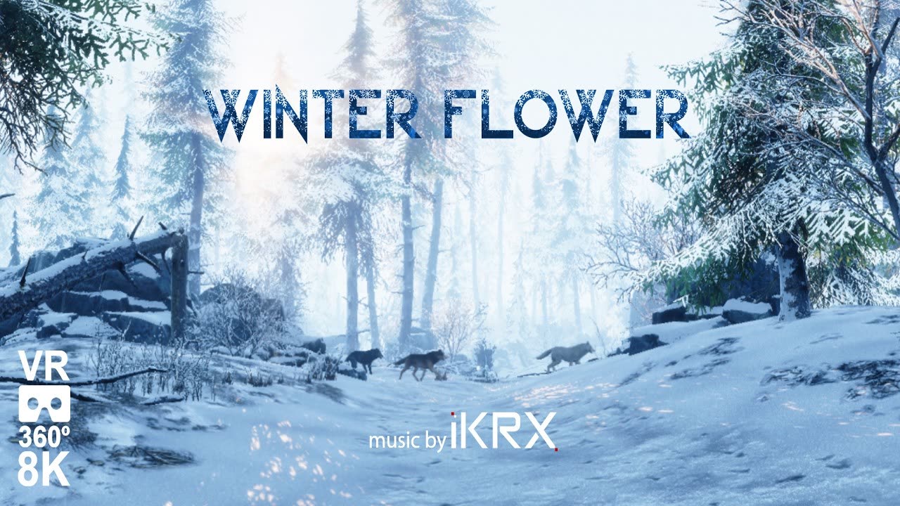 Winter flower
